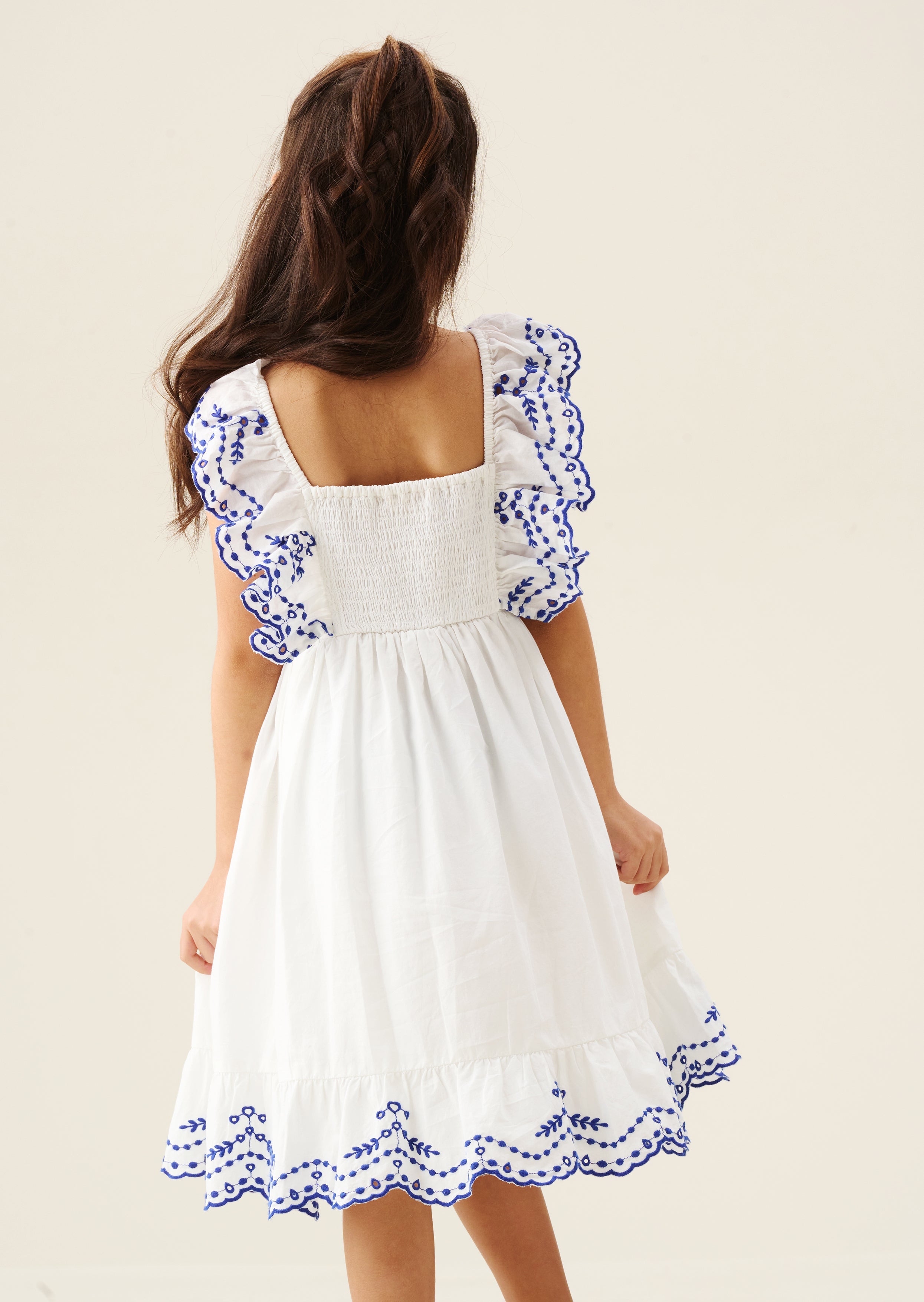 Sophie Embroidered Dress